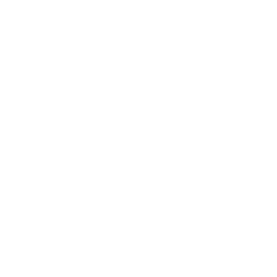 Riparazione